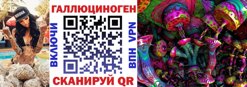 Купить где Белорецк Галлюциногенные грибы мицелий